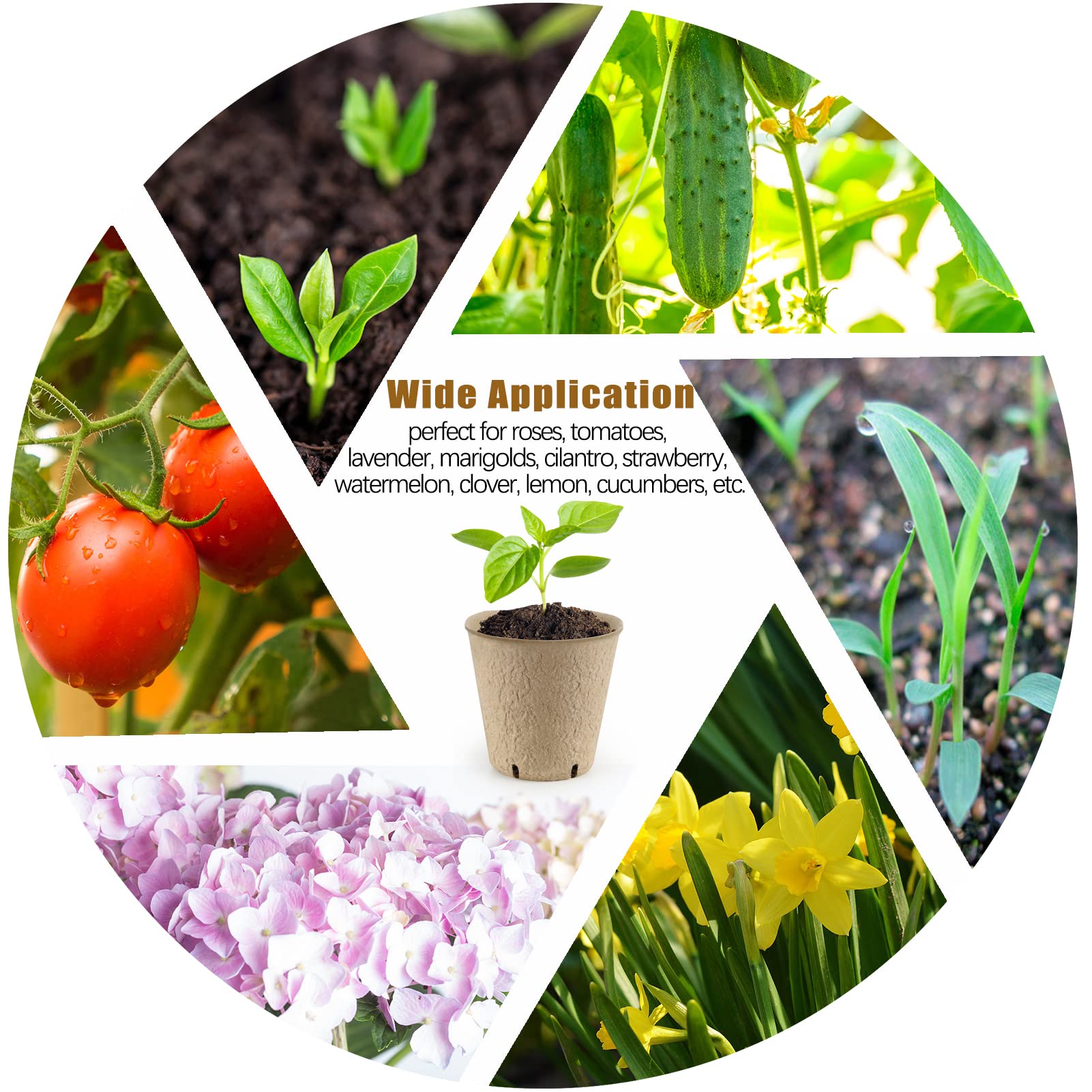 Peat Pots, 102 Pack 3.15 Inch Biodegradable Planting Peat Pots for Seedlings, Garden Plant Seed Starter Pots with Drainage Holes Seed Starting Pots for Organic Vegetable Flower, Bonus 50 Plant Labels - Image 5