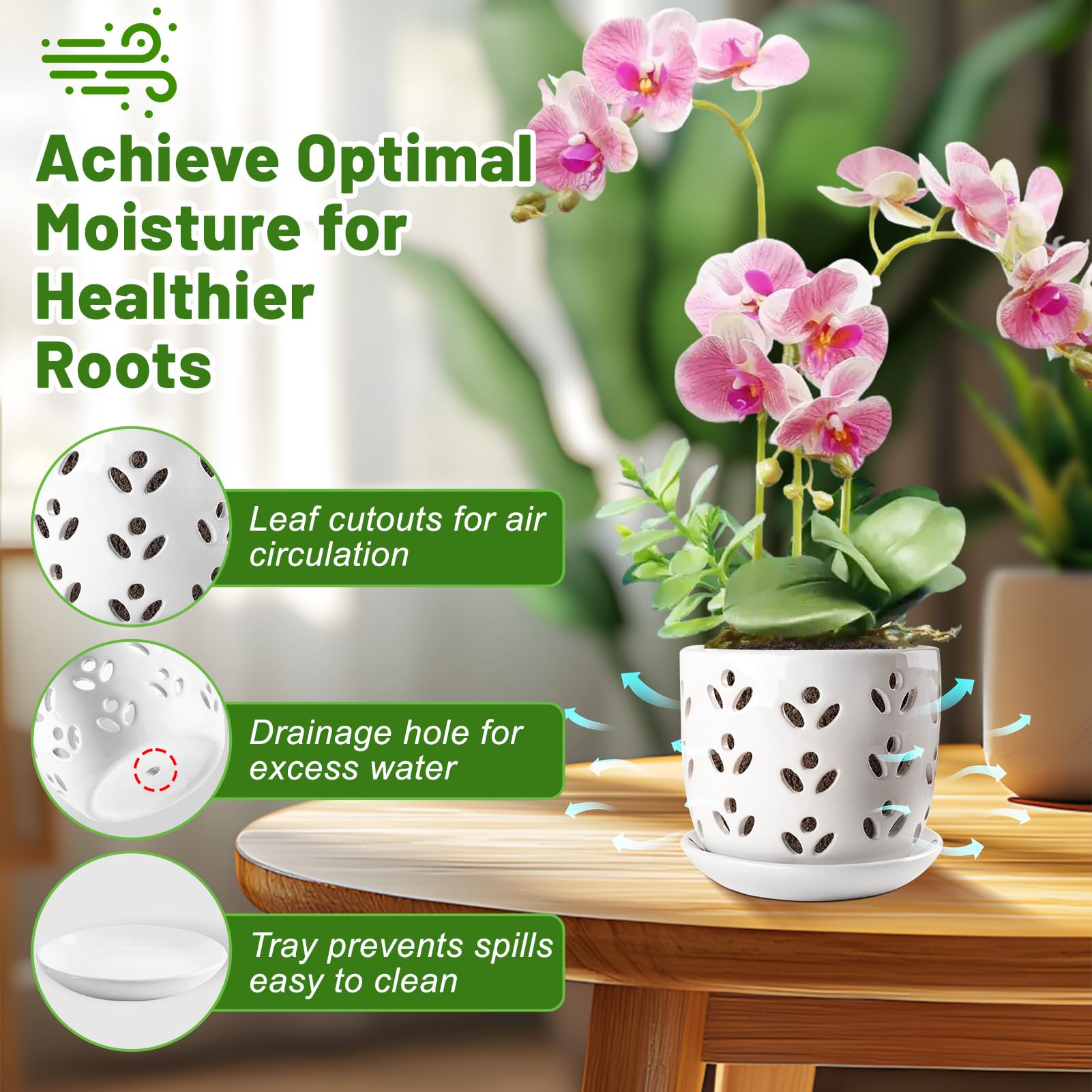 REMIAWY Orchid Pot, 2 Pack Orchid Pots with Drainage Holes and Saucer, 6 Inch and 5 Inch Large Ceramic Planter for Repotting Indoor Plants, Succulent, Decorative, Good Air Circulation, White - Image 4