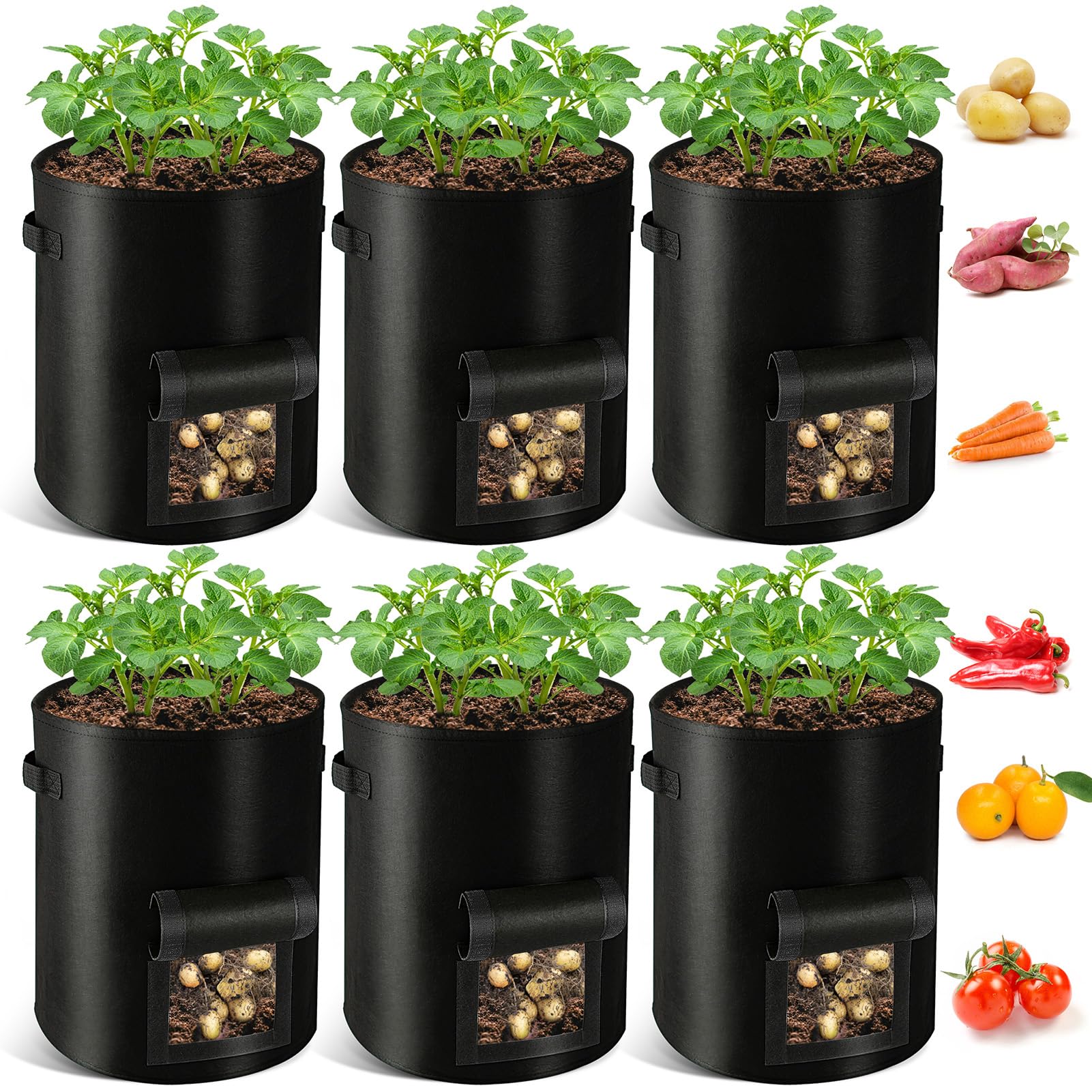 Grow Bags & Peat Pots